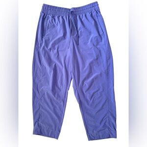 Athleta Arrival Straight Leg Ankle Pants Adonis Purple #586940 size 12